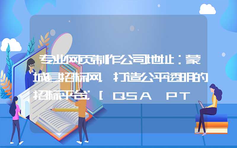 专业网页制作公司地址：蒙城县招标网，打造公平透明的招标平台