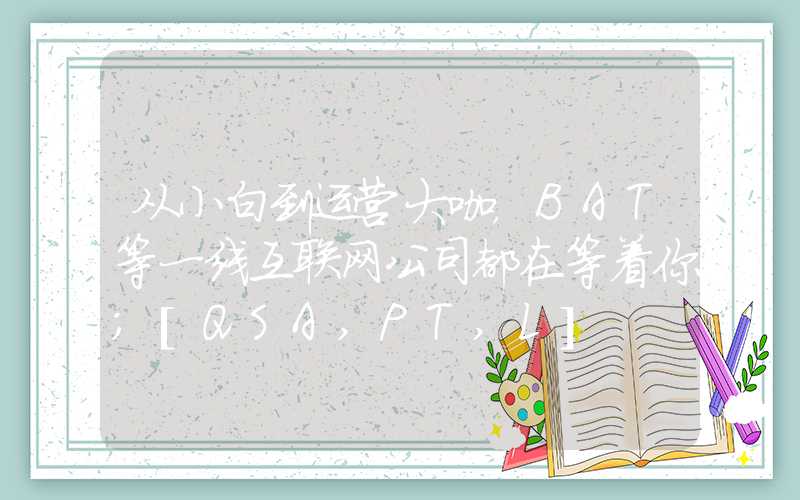 从小白到运营大咖，BAT等一线互联网公司都在等着你