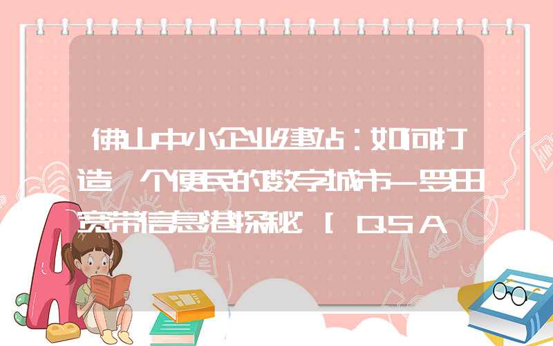 佛山中小企业建站：如何打造一个便民的数字城市-罗田宽带信息港探秘