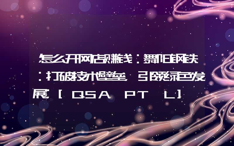 怎么开网店赚钱：舞阳钢铁：打破技术壁垒，引领绿色发展