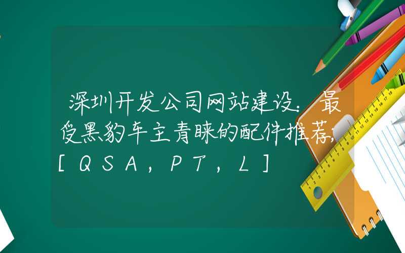 深圳开发公司网站建设：最受黑豹车主青睐的配件推荐