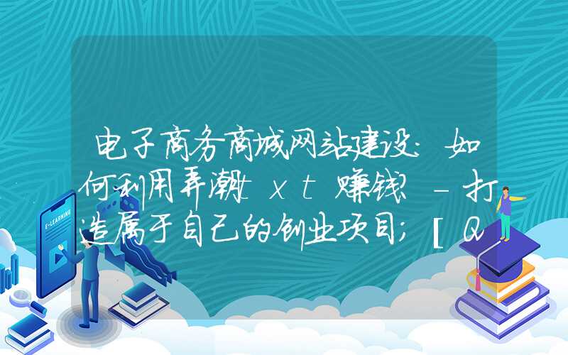 电子商务商城网站建设：如何利用弄潮txt赚钱？-打造属于自己的创业项目