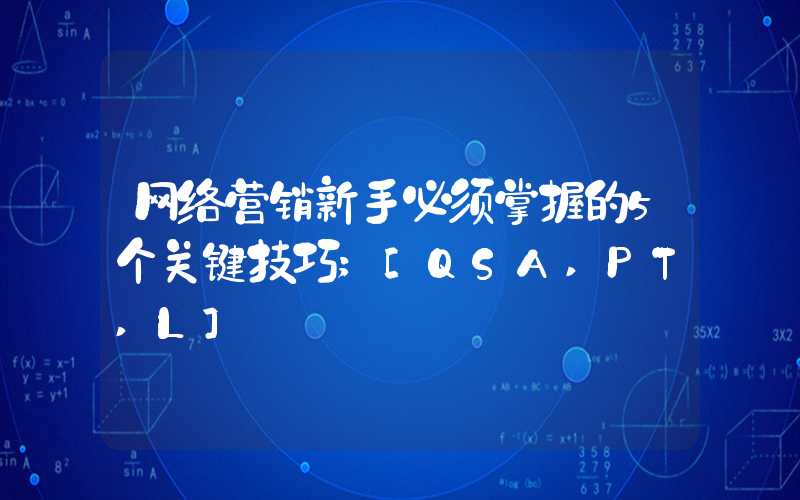 网络营销新手必须掌握的5个关键技巧