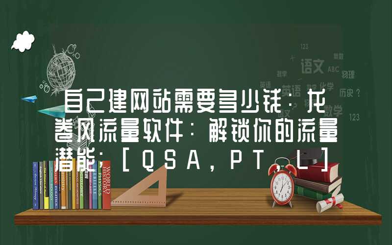 自己建网站需要多少钱：龙卷风流量软件：解锁你的流量潜能