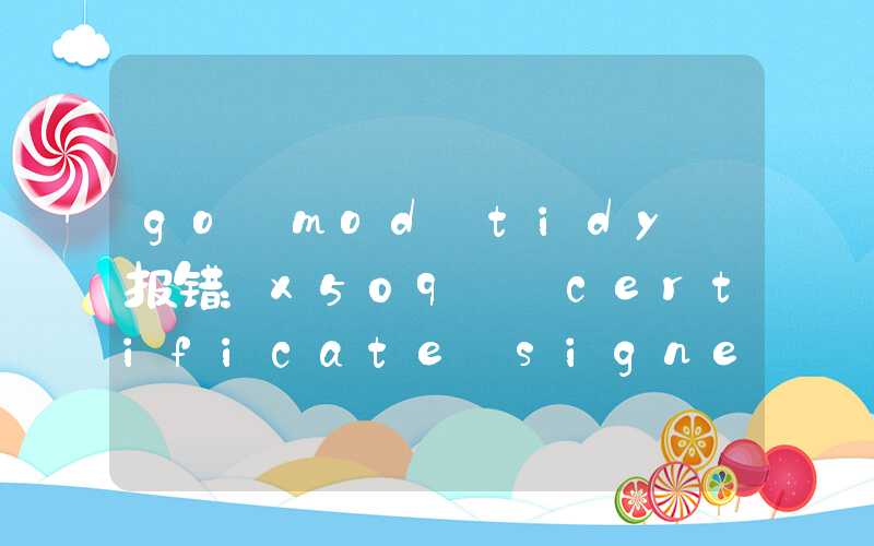 go mod tidy 报错：x509: certificate signed by unknown authority 最佳实践