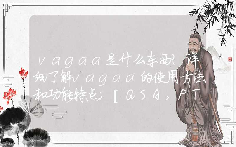 vagaa是什么东西？详细了解vagaa的使用方法和功能特点