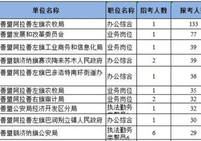 如何进行搜索引擎优化 ：阿拉善人事考试官方网站发布招聘信息