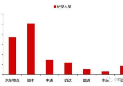 探索廉江博洋网发展历程与未来规划