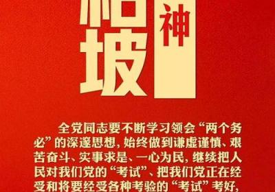 压实“第一责任人”责任，为学习贯彻党的十九大精神披荆斩棘