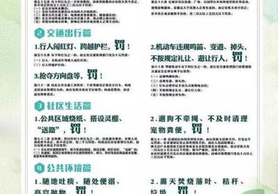 探访衡阳市人大常委会主任杨懿文在祁东的现场调研经历