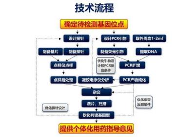 医药领域的推广策略：从传统到新兴趋势