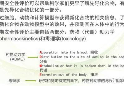 黑洞不再是“吞星怪兽”，研究证实其还可抛出物质射流