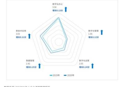 探寻神州数码，解读数字科技领先之路