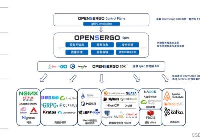 OpenSergo使用详解