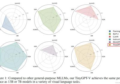 【LMM 012】TinyGPT-V：24G显存训练，8G显存推理的高效多模态大模型