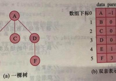 《数据结构》第七章：树和森林