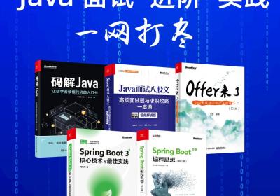 Java面试、进阶、实践一网打尽（由电子工业出版社出版）