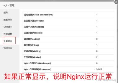 关于使用宝塔页面Nginx的一些注意事项：Nginx不生效情况，以及解决方案