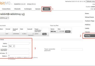 rabbitMq怎么查看队列消息-Tracing日志
