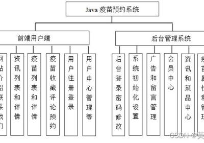 基于Springboot疫苗接种疫苗预约系统设计与实现 开题报告参考