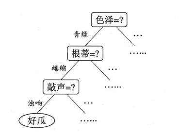 决策树的相关知识点