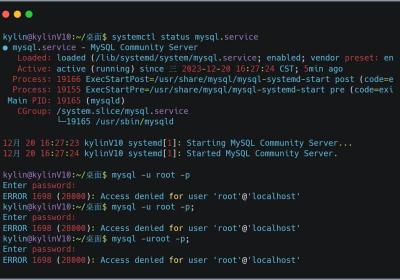 KylinV10 安装 MySQL 教程（可防踩雷）