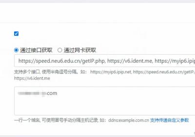 OpenWRT中的DDNS-GO无法获取软路由IPV6地址