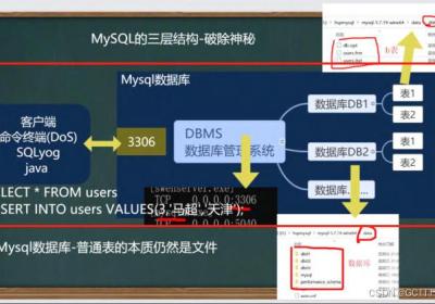 MySQL数据库基础知识，基础操作详细整理