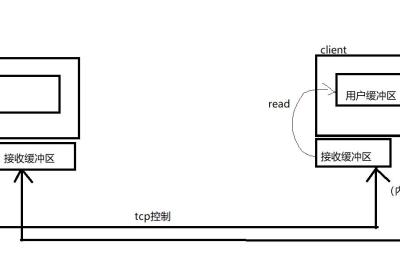 Linux学习之自定义协议