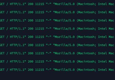 Nginx快速入门：访问日志access.log参数详解 ｜访问日志记录自定义请求头（三）