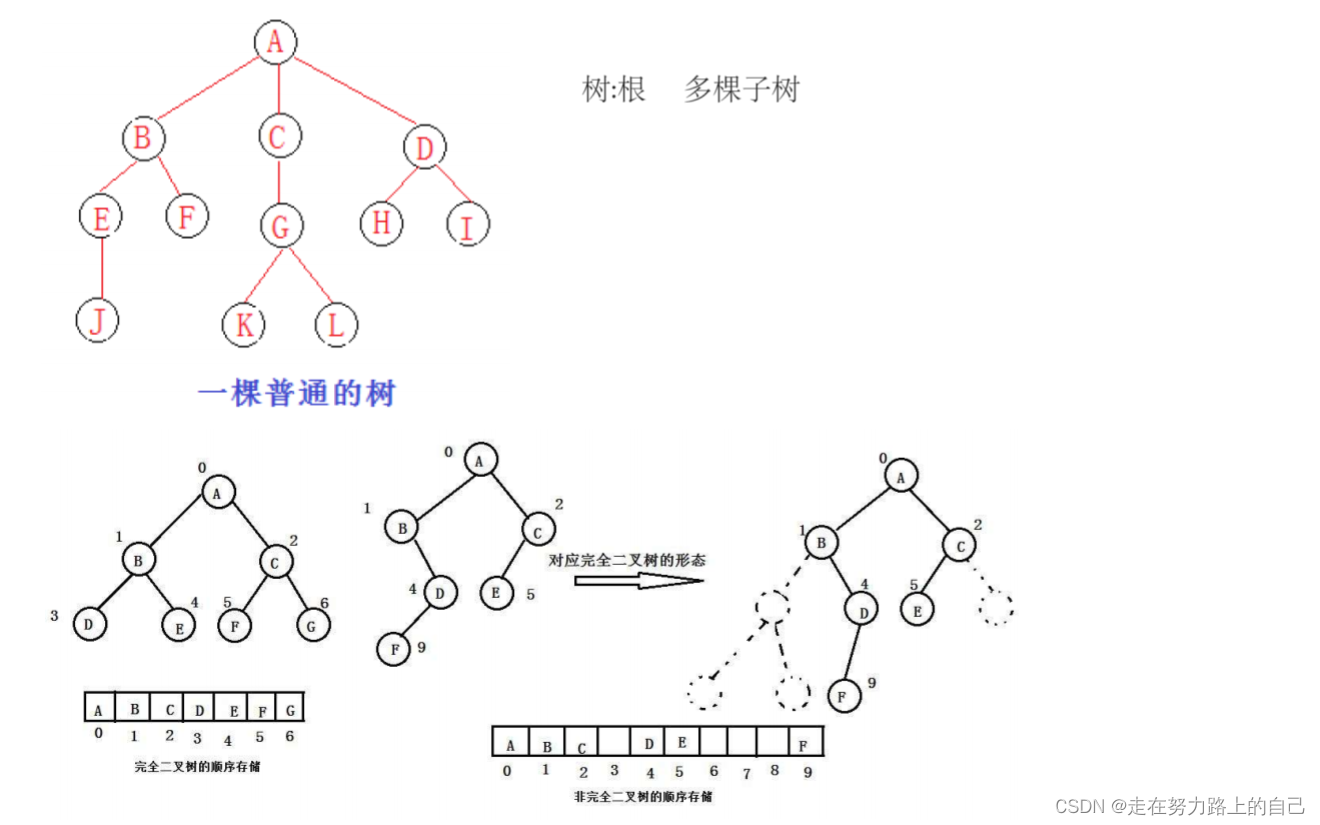 二叉树详解(深度优先遍历、前序，中序，后序、广度优先遍历、二叉树所有节点的个数、叶节点的个数),第14张