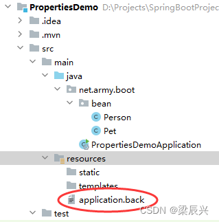 Spring Boot Application.properties和yaml配置文件,在这里插入图片描述,第30张