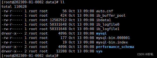 【mysql】[ERROR] --initialize specified but the data directory has files in it. Aborting.,第2张