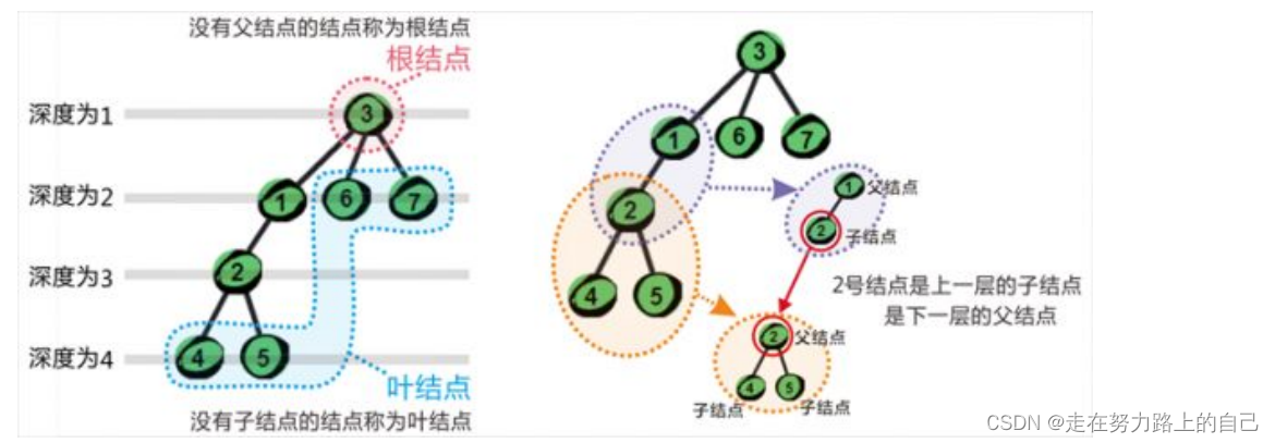 二叉树详解(深度优先遍历、前序，中序，后序、广度优先遍历、二叉树所有节点的个数、叶节点的个数),第2张