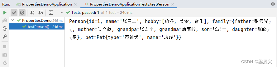 Spring Boot Application.properties和yaml配置文件,在这里插入图片描述,第33张