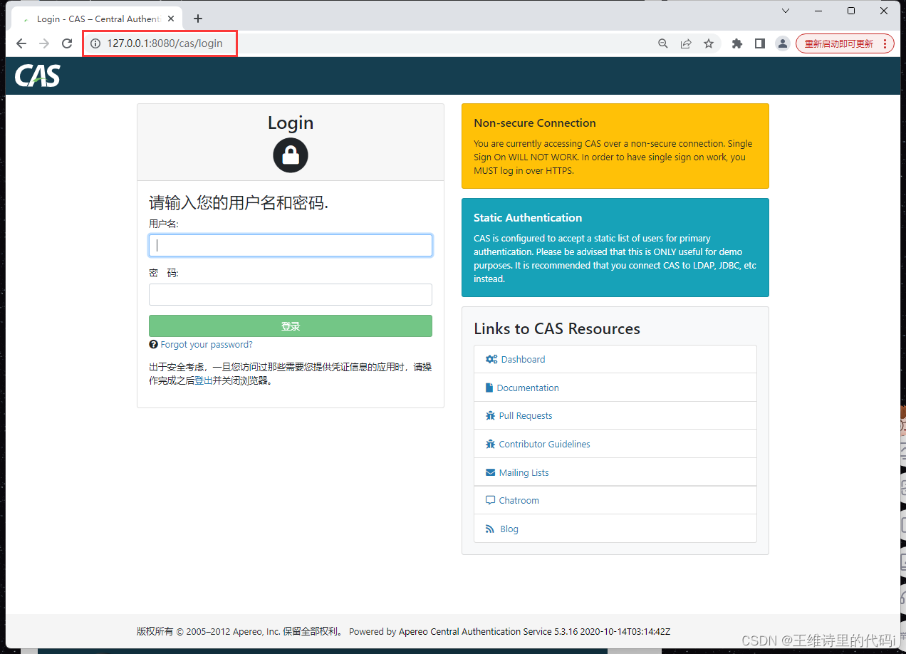 SpringBoot 实现CAS Server统一登录认证,在这里插入图片描述,第9张