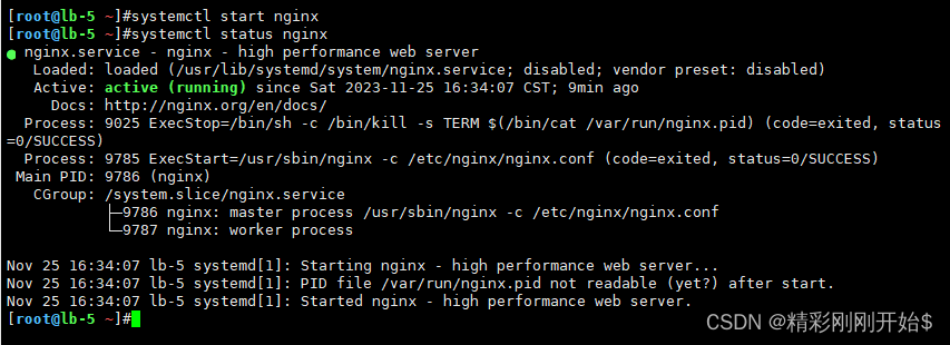 Job for nginx.service failed because the control process exited with error code. See “systemctl stat,第5张