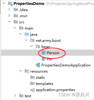 Spring Boot Application.properties和yaml配置文件,在这里插入图片描述,第10张