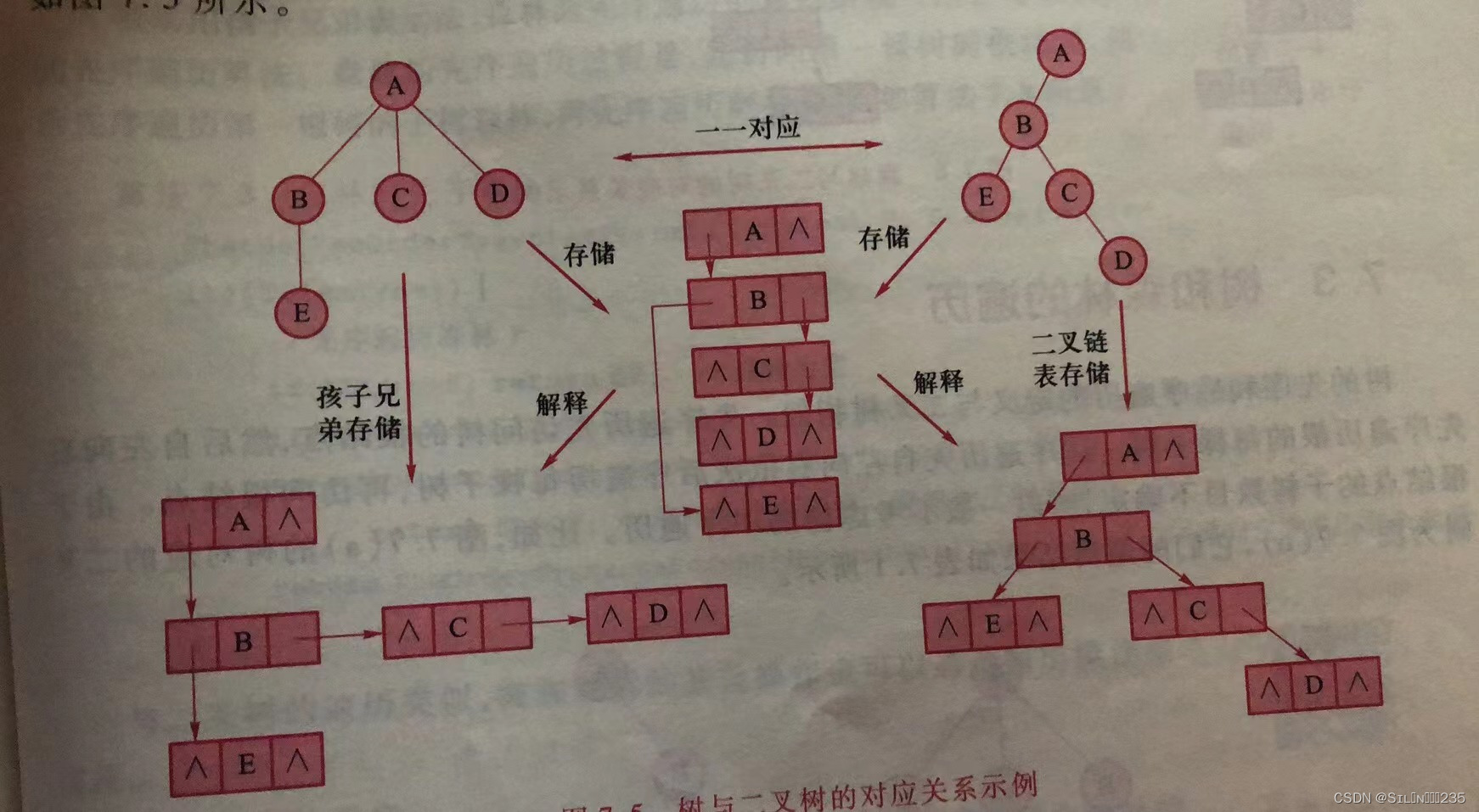 《数据结构》第七章：树和森林,第4张