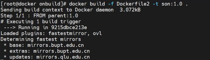 Dockerfile,image-20240109185351882,第11张