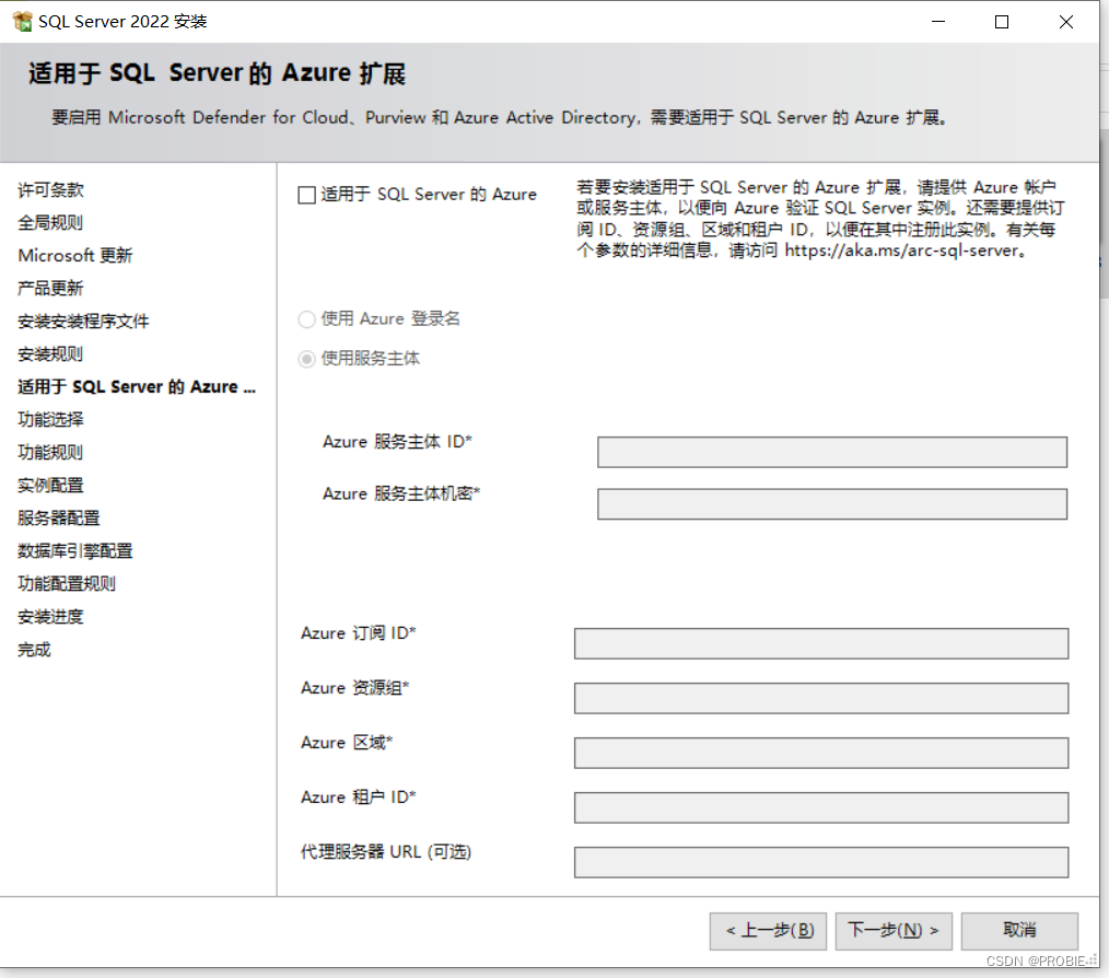 【萌新向】Sql Server保姆级安装教程-图文详解手把手教你安sql,请添加图片描述,第9张