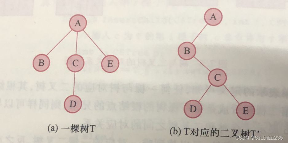 《数据结构》第七章：树和森林,第6张