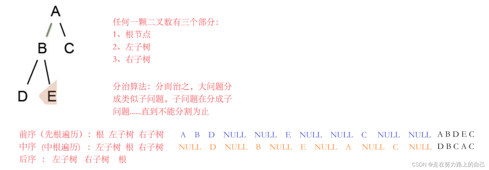 二叉树详解(深度优先遍历、前序，中序，后序、广度优先遍历、二叉树所有节点的个数、叶节点的个数),第8张