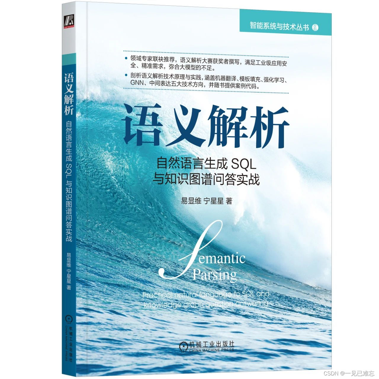 语义解析技术在大数据时代的应用与前景-自然语言生成SQL与知识图谱问答实战【文末送书-17】,在这里插入图片描述,第2张