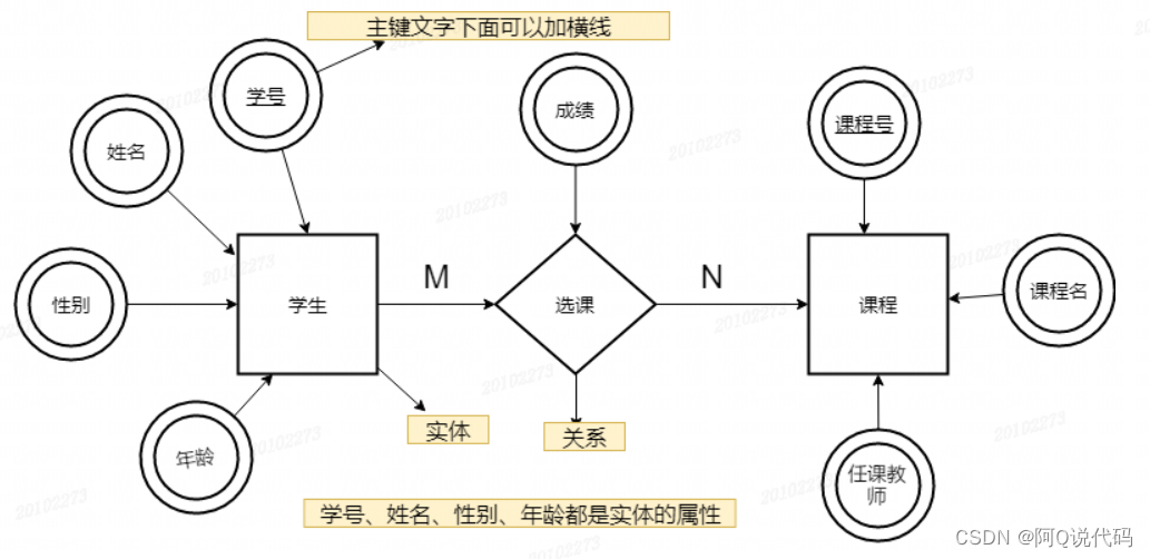 【MySQL】数据库基本知识小结,学生与课程之间联系的E-R图,第1张