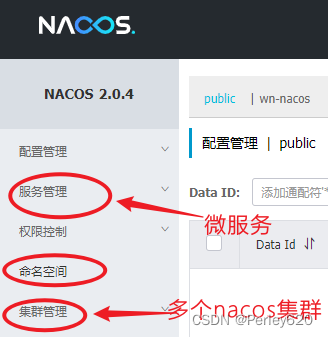 Nacos基础（2）——nacos的服务器和命名空间 & springBoot整合nacos & 多个nacos配置的情况,在这里插入图片描述,第3张