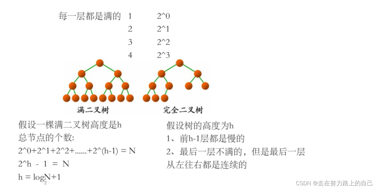 二叉树详解(深度优先遍历、前序，中序，后序、广度优先遍历、二叉树所有节点的个数、叶节点的个数),第12张