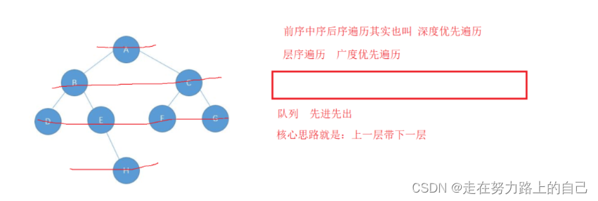 二叉树详解(深度优先遍历、前序，中序，后序、广度优先遍历、二叉树所有节点的个数、叶节点的个数),第24张