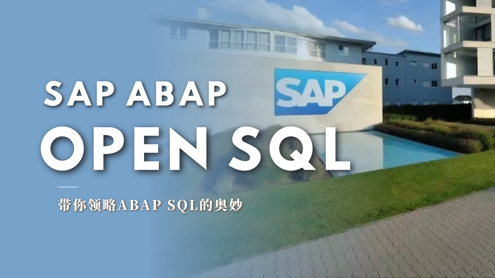 【ABAP】OPEN SQL（八）「WHERE语句大全」,在这里插入图片描述,第1张