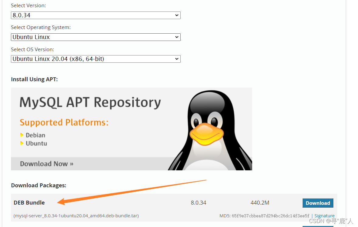 Ubuntu20.04 jdk gcc make redis nginx mysql 离线安装,在这里插入图片描述,第9张